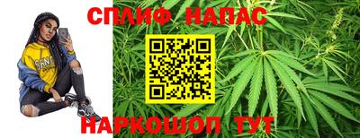 спиды Сланцы