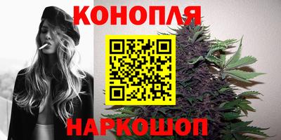 спиды Сланцы