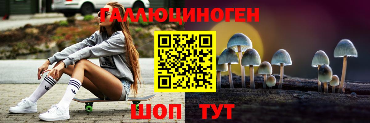 Псилоцибиновые грибы прущие грибы Светлоград